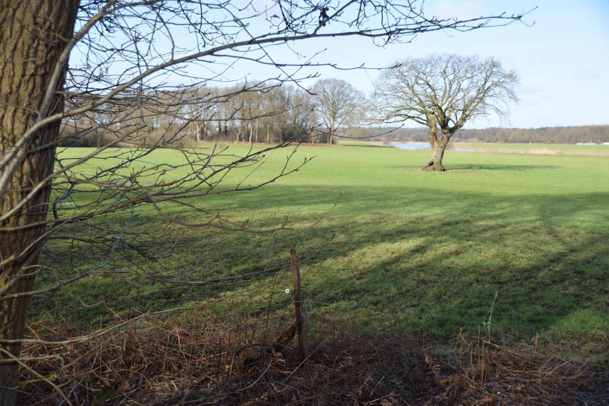 Vakantiehuis De Veldhoen Vrijgelegen Nabij De Rivier De Vecht Beerze Exteriér fotografie