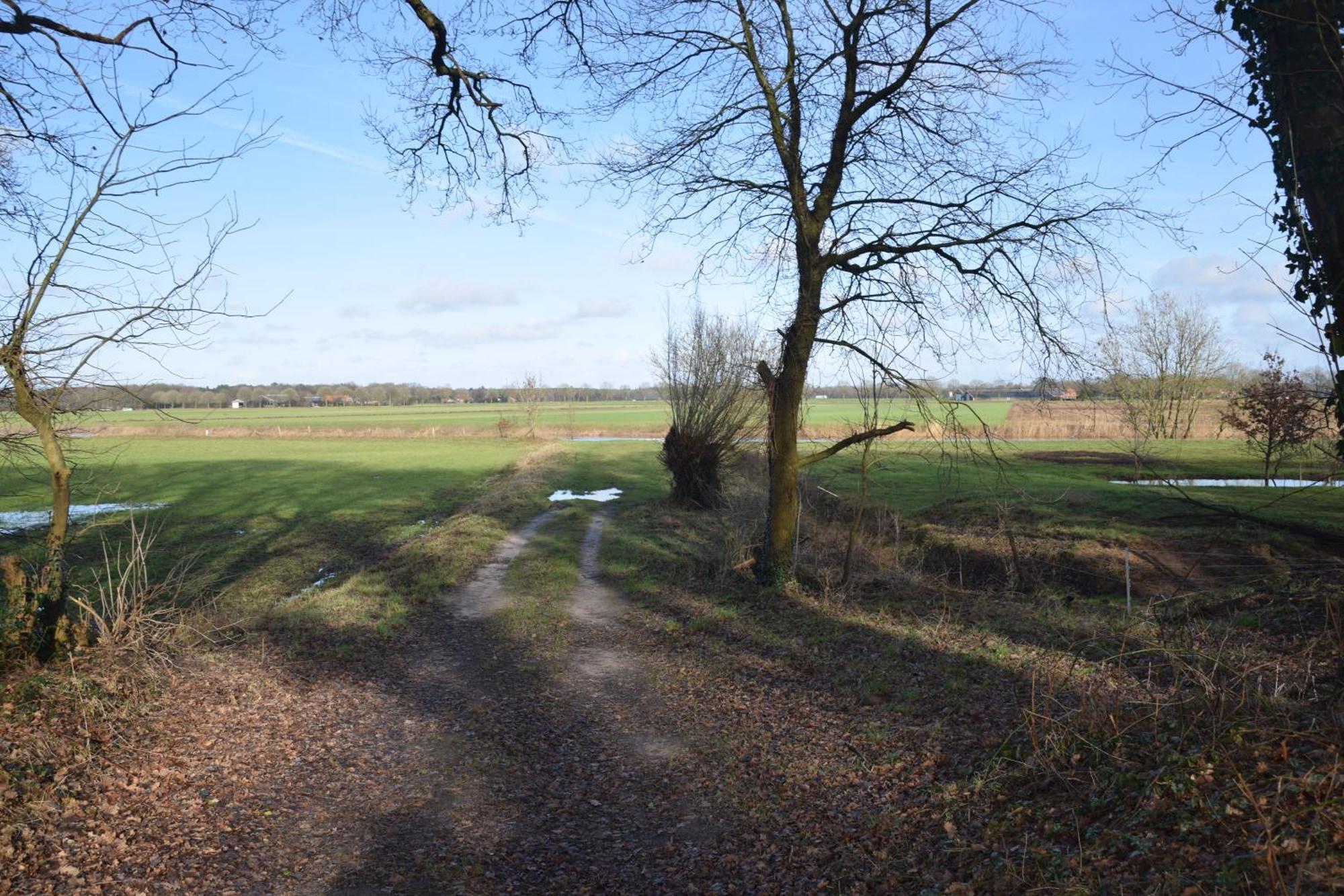 Vakantiehuis De Veldhoen Vrijgelegen Nabij De Rivier De Vecht Beerze Exteriér fotografie
